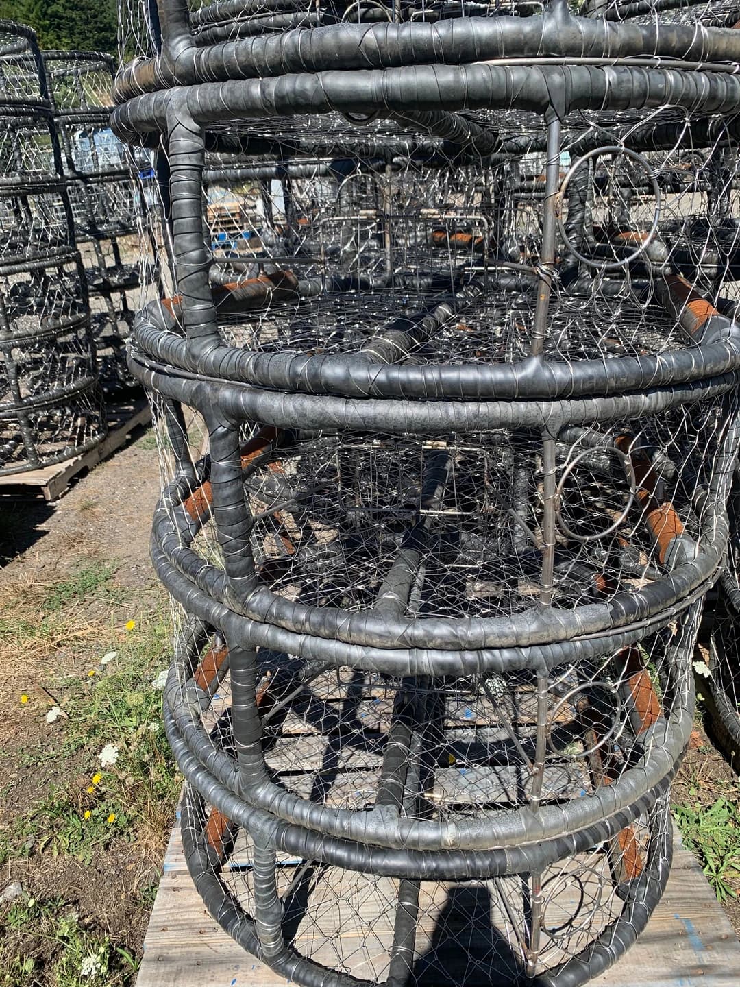 Side view of stacked CCP pots showing escape rings beside their entry tunnels